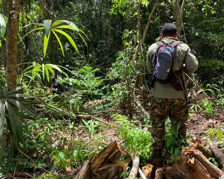 Sustainable Forest Management - Forest Department of Belize